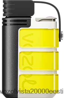 VOZOL GEAR 4000c/6000 | 8600Z8318 VOZOL Vape Review sidrunikollane