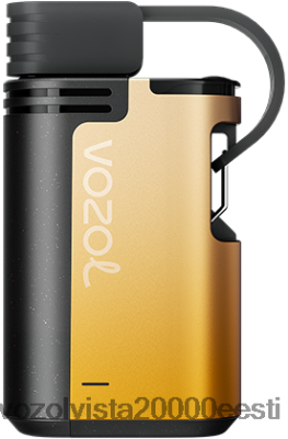 VOZOL GEAR 4000c/6000 | 8600Z8326 VOZOL Vape Wholesale kiivi kannatuspuu guajaav