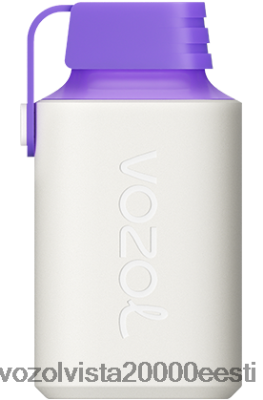 VOZOL GEAR 600 | 8600Z8350 VOZOL Gear Power 20000 metsamarja energia