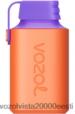 VOZOL GEAR 600 | 8600Z8353 VOZOL Vape Eesti litši guajaav arbuus