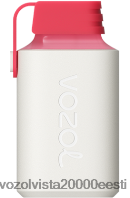 VOZOL GEAR 600 | 8600Z8358 VOZOL Vape Review maasikas vaarikas kirss
