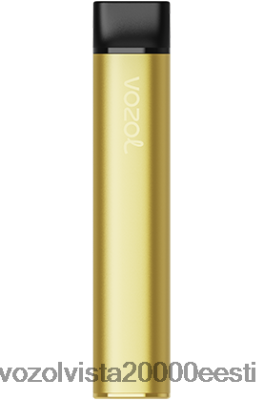 VOZOL SWITCH 600 | 8600Z8219 VOZOL Vape Store banaani jää