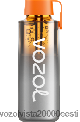 VOZOL NEON 10 000 | 8600Z8228 VOZOL Vape Review vikerkaarhapu