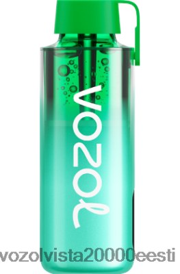 VOZOL NEON 10 000 | 8600Z8229 VOZOL Vape Store miami piparmünt