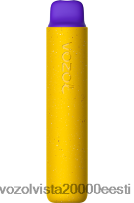 VOZOL STAR 2000 | 8600Z8159 VOZOL Vape Store mango jää