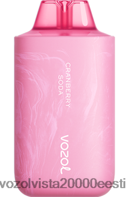 VOZOL STAR 6000/8000 v2 | 8600Z858 VOZOL Vape Review jõhvika sooda