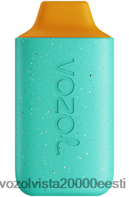 VOZOL STAR 6000 | 8600Z8114 VOZOL Vape Price mesikaste punš