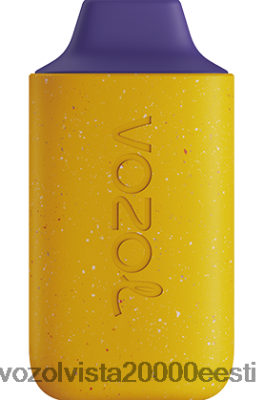 VOZOL STAR 6000 | 8600Z8116 VOZOL Vape Wholesale sidruni kiivi kannatusvili
