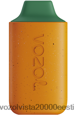 VOZOL STAR 6000 | 8600Z8120 VOZOL Gear Power 20000 mango virsik arbuus