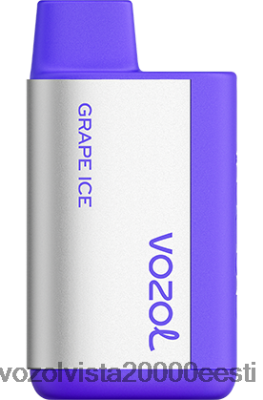 VOZOL TIGO 600 | 8600Z8367 VOZOL Vape Order viinamarjajää