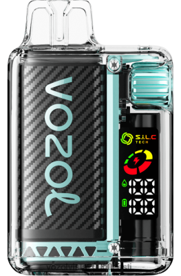 VOZOL VISTA 16000/20000 | 8600Z814 VOZOL Vape Price hapu õunajää